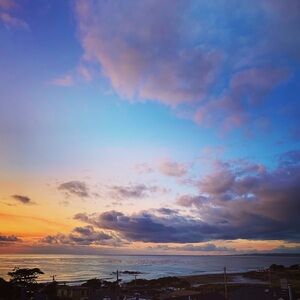 Meet your Posher, Claudine